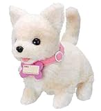 NEW いっしょにあそぼう チワワのコロン 三河