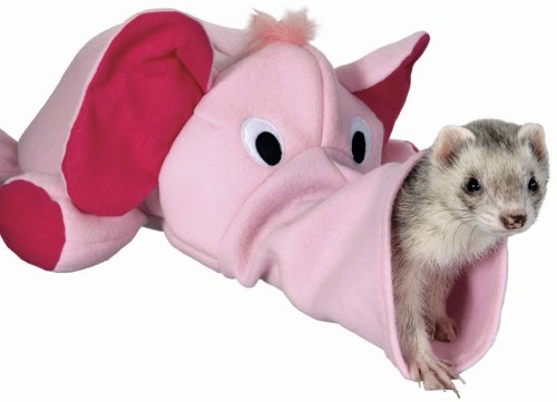 Marshall Ferret Ele-Fun