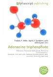 Adenosine triphosphate: Adenosine, Adenosine diphosphate, Adenosine monophosphate,  Glycolysis, Citric acid cycle, Oxidative phosphorylation, Beta  oxidation, Anaerobic respiration