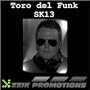 Toro - Sk13. Wav (Original Mix)