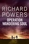 Operation Wandering Soul