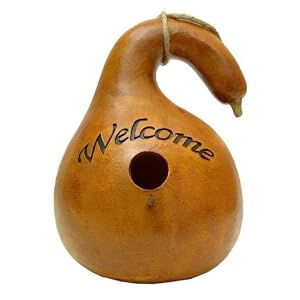 Welcome Sienna Gourd Birdhouse by 