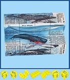 Dolphins & Whales Cube (7 - 107 years)