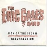 SIGN OF THE STORM 7 INCH (7" 45) SPANISH ELEKTRA 1991