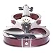 Cecilio 4/4 CEVN-1NA Solid Wood Mahogany Metallic Electric / Silent Violin with Ebony Fittings in Style 1 (Full Size)