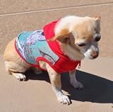 Dog SK8R Hoodie, XS