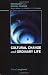Cultural Change and Ordinary Life (Sociology and Social Change)