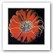 Flower for Tacoma Dome, c. 1982 (black and red) by Andy Warhol 36