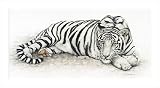 Siberian Tiger by Jan Henderson poster print,36 in. x 20 in.