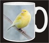 Review Advanta  / CANARY on BRANCH Coffee MUG