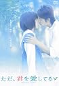 ただ、君を愛してる スタンダード・エディション [DVD]