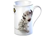 Hana Deka Bone China Coffe Mug / Gift Box - Dalmation Darcy  from HANA DEKA