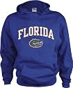 Florida Gators Kids/Youth Perennial Hooded Sweatshirt