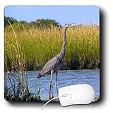Wild animals - Blue Heron - Mouse Pads