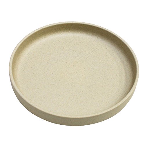 (ハサミポーセリン) HASAMI PORCELAIN『Plate-002-』(Natural) (Natural, ONE SIZE)