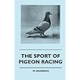 racing pigeons The Sport racing pigeons The Sport