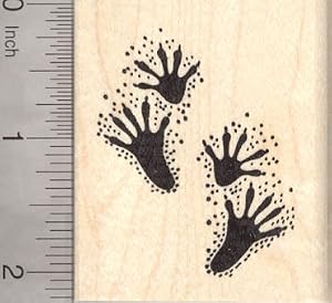 Amazon.com: Raccoon Paw Prints Rubber Stamp, Pawprint, Racoon: Arts ...