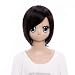SureWells New Design Costume Wigs Black Cosplay Short Wigs Hetalia Honda Kiku Nice wigs Fabulous Wig