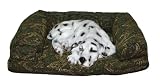 Eigenschaften WILMA Heimtierprodukte  / Hundesofa GRÜN/GOLD 60 x 50 x 13cm #55128S