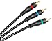 BPI - RCA Component Video Cable - 12ft