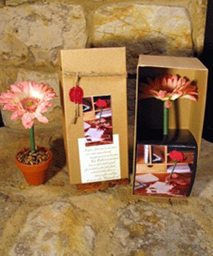 Pink Daisy Boxed Topiary Flower Pen