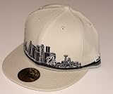 Los Angeles Dodgers New Era City Fitted Hat Cap
