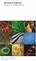 Patterns of the Earth