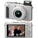 Panasonic DMC-LX3S 10.1MP Digital Camera with 2.5x Wide Angle MEGA Optical Image Stabilized Zoom (Silver)