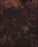 Richard Artschwager s theme(s)