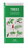 Trees: An Introduction to Familiar North American Species