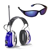 AO Safety 90576 RaceTunes AM/FM Hearing Protector with Saftey Glasses, Purple and Silver