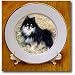 Black and Tan Pomeranian - 8 Inch Porcelain Plate