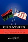 The Black-Print: Black America's Blueprint for Achieving Wealth, Prosperity and Respect