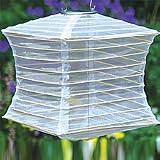Outdoor Solar Lantern - Pearl Colored Square