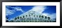 Pyramid, Moody Gardens, Galveston, Texas, USA Scenic Framed Art Poster Print by Panoramic Images, 51x23