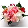 �}�_�����[�Y�E�~�h���y�T���N�X�u�[�P�E�v���U�[�u�h�t�����[�z
