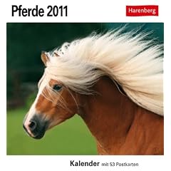 Pferde 2011. Postkartenkalender: 53 Postkarten
