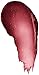 Lip Shimmer-Raisin Burt's Bees 1 Stick