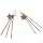 ��Winter SALE�� BETSEY JOHNSON ��������߱� : �߱�