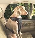 Solvit Extra-Large Pet Vehicle Safety Harness