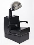 Professional Dryer & Chair Combo Set