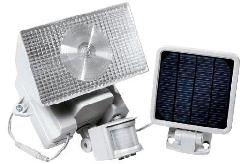 Solar Motion-Activated Halogen Floodlight