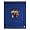 Kentucky Wildcats NCAA 