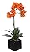 House of Silk Flowers Artificial 17-Inch Phalaenopsis Orchid, Mini, Paprika Orange