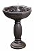 Chartwell Solar Birdbath