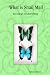 What is Snail Mail - the lost art of letterwriting by Tamara Stevens