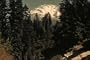 1942 US Forest Service Film: Wood for War [DVD]: Wood Products & The American Logging Industry During the WW2 War Effort