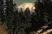 1942 US Forest Service Film: Wood for War [DVD]: Wood Products & The American Logging...