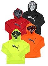Puma Youth Big Boys Big Cat Performance Hoodie
