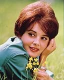 ROSSANA PODESTA 11X14 COLOR PHOTO